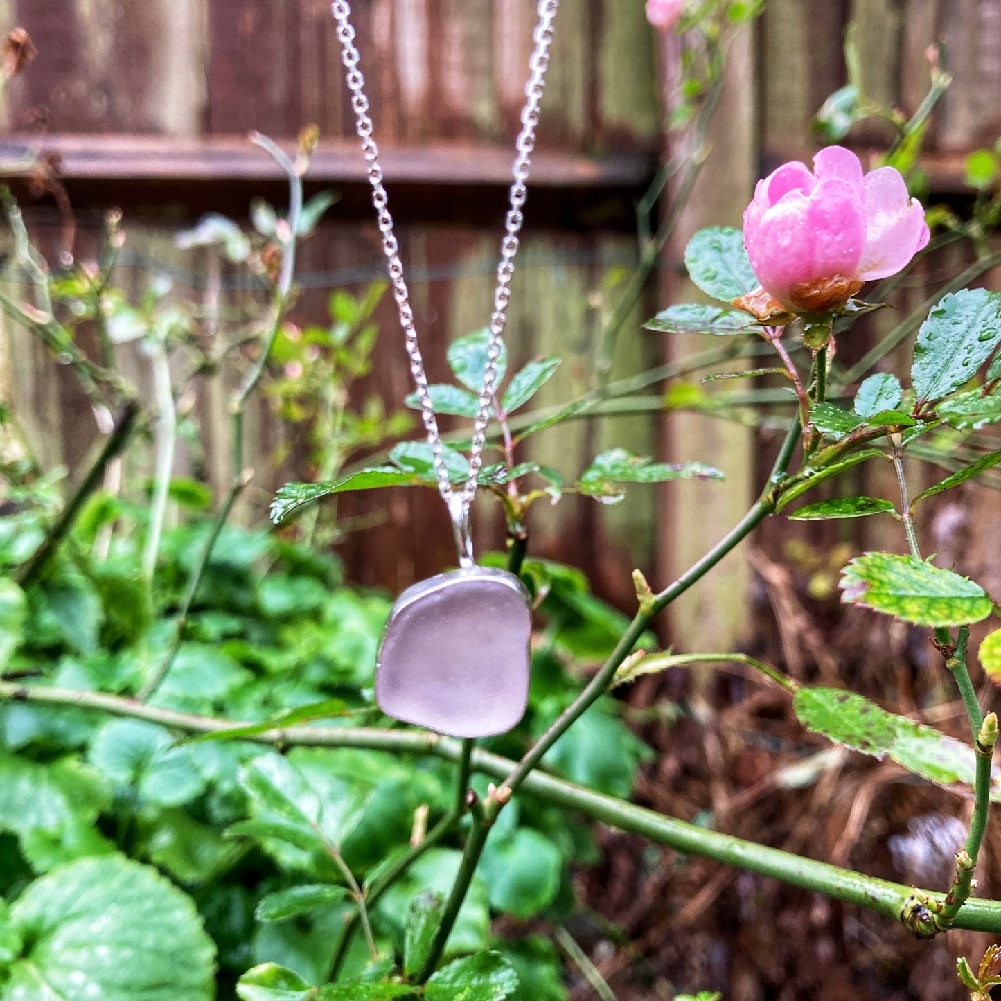 Pale Pink Sea Glass Necklace